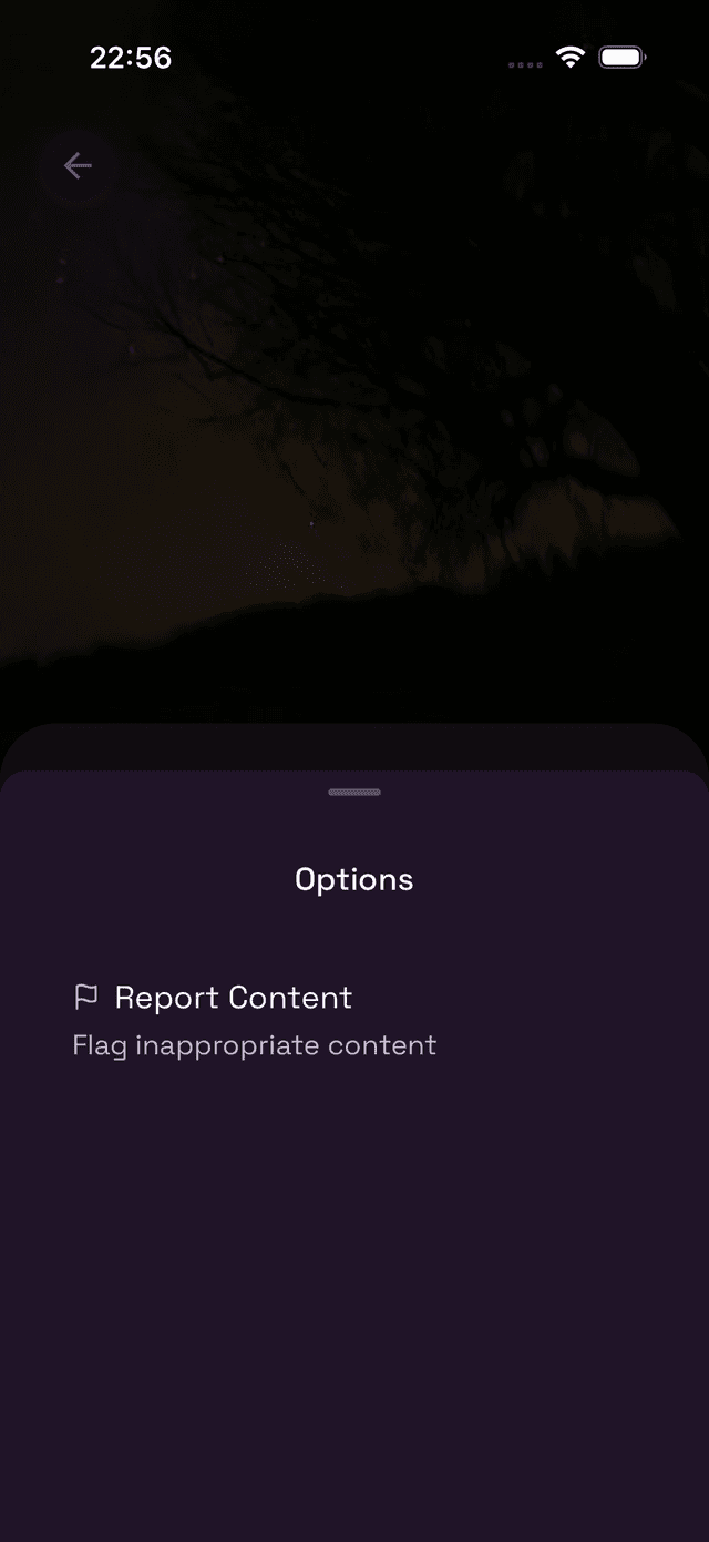 Options menu with Report Content